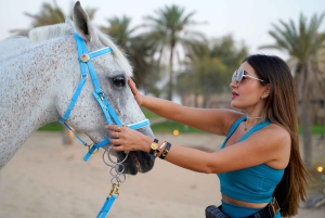 Luxe woestijnsafari in Dubai, barbecue, kamelenrit, quad, show