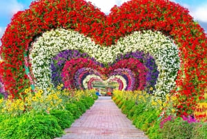 Dubai: Miracle Garden Tickets with Round-trip Transfer