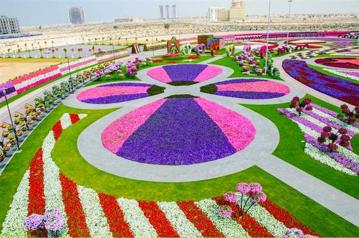 Miracle Garden In Dubai My Guide Dubai