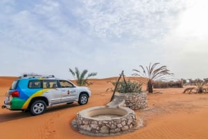 Mleiha Desert Safari with Sandboarding, Stargazing & Dinner