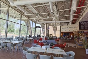 Mleiha Desert Safari with Sandboarding, Stargazing & Dinner