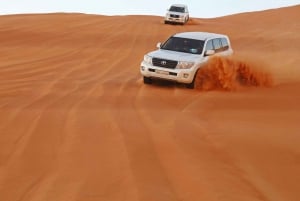 Morning Family Desert Adventure With Dune Bashing Camel Ride