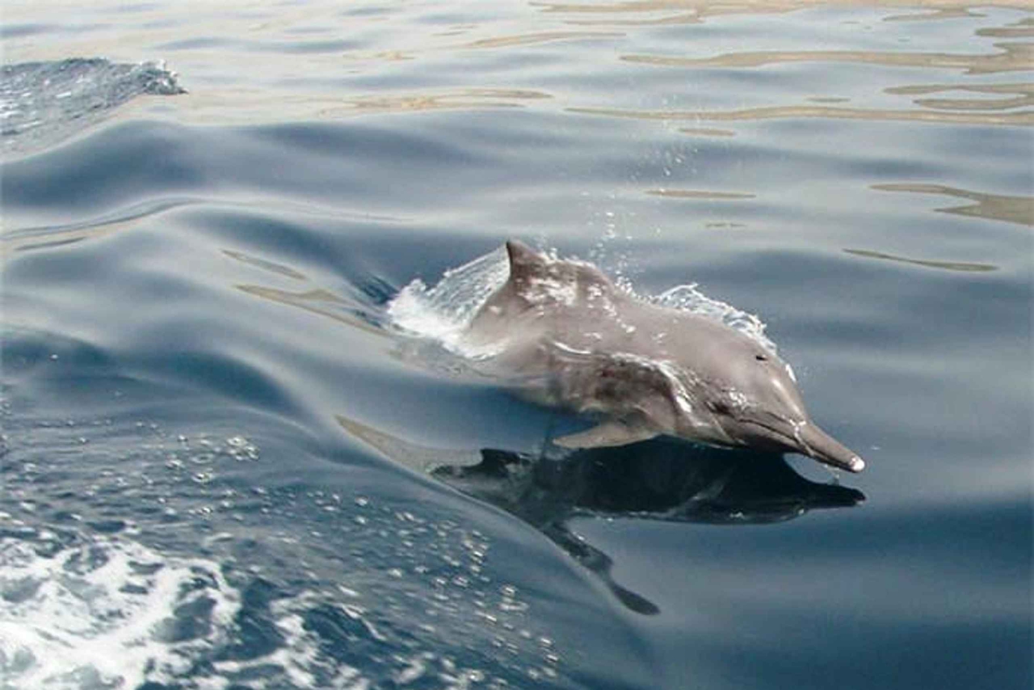 Musandam Khasab Full-Day Cruise with Transfers & Lunch