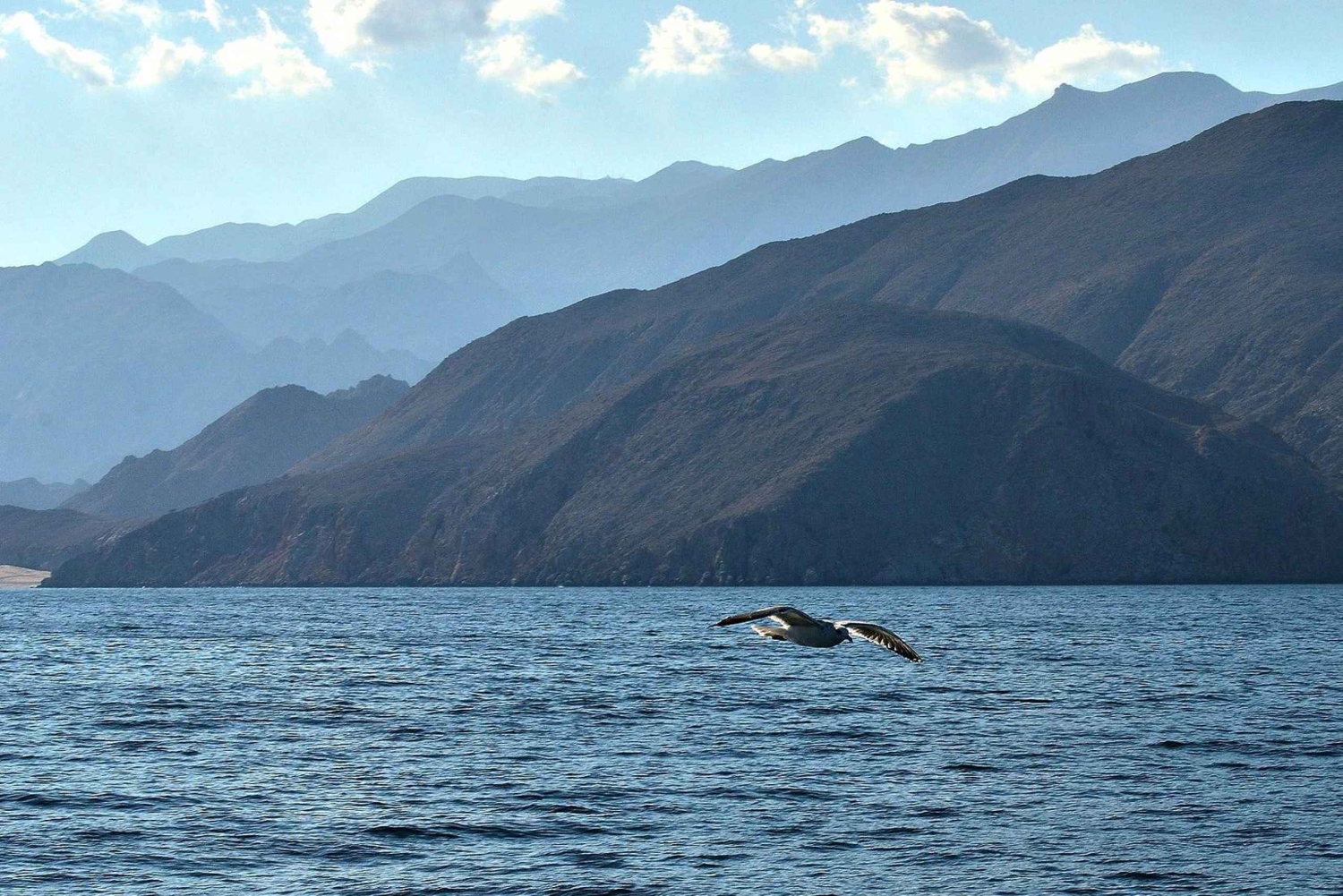 Musandam Khasab Full-Day Cruise with Transfers & Lunch