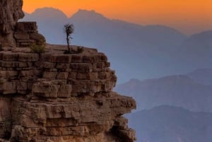 Маскат: однодневный тур с оманским обедом, трансфером из отеля и авиаперелетом