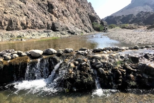 Muscat: Tagestour mit omanischem Mittagessen, Abholung vom Hotel und Flugticket