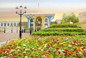 Muscat: Tagestour mit omanischem Mittagessen, Abholung vom Hotel und Flugticket