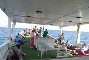 Mystic Musandam Full-Day Sea Safari