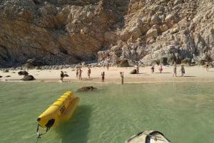 Mystic Musandam Full-Day Sea Safari