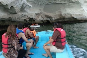 Mystic Musandam Full-Day Sea Safari