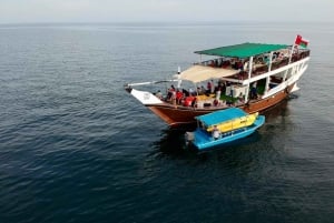 Mystic Musandam Full-Day Sea Safari