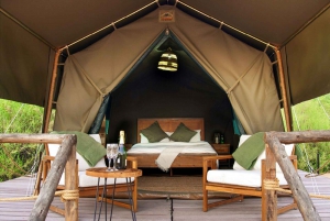 Dubai: Overnight Desert Safari Dune Drive, Private Tent, BBQ