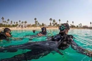 Padi Open Water Course With Elearning