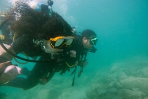 Padi Open Water Course With Elearning