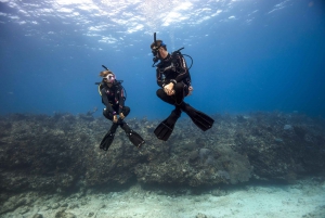 Full day: padi 12m diving license course