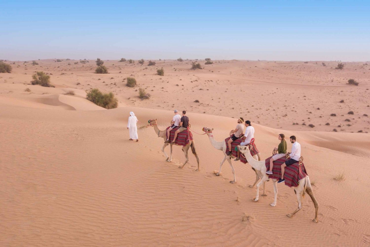 Platinum Heritage: Camel Desert Safari w/ Traditional Dinner