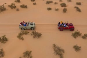 Дубай: утренняя соколиная охота и сафари на винтажном Land Rover