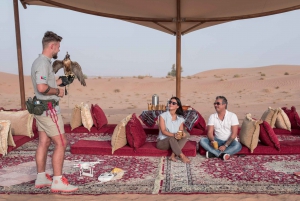 Dubái: cetrería privada, safari por el desierto y desayuno en Al Maha.