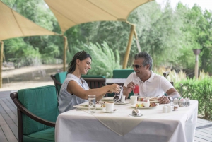 Dubái: cetrería privada, safari por el desierto y desayuno en Al Maha.