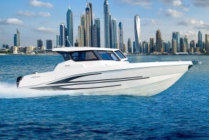 Barco privado en Dubái: 36 pies