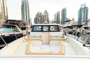 Barco privado en Dubái: 36 pies