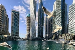 Tour privado de la ciudad de Dubai en día completo Tour guiado