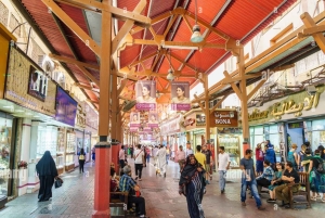 Private Dubai Layover Tour/Tranist and airport Stopover