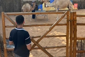 Prywatna wycieczka kulinarna - 12 degustacji z lokalnymi mieszkańcami