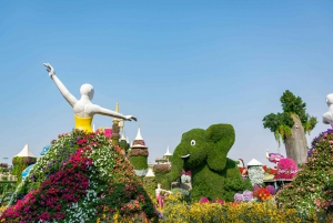 Dubai: Miracle Garden and Global Village Trip with Options