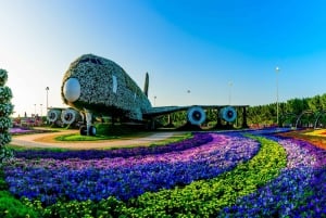 Dubai: Miracle Garden and Global Village Trip with Options