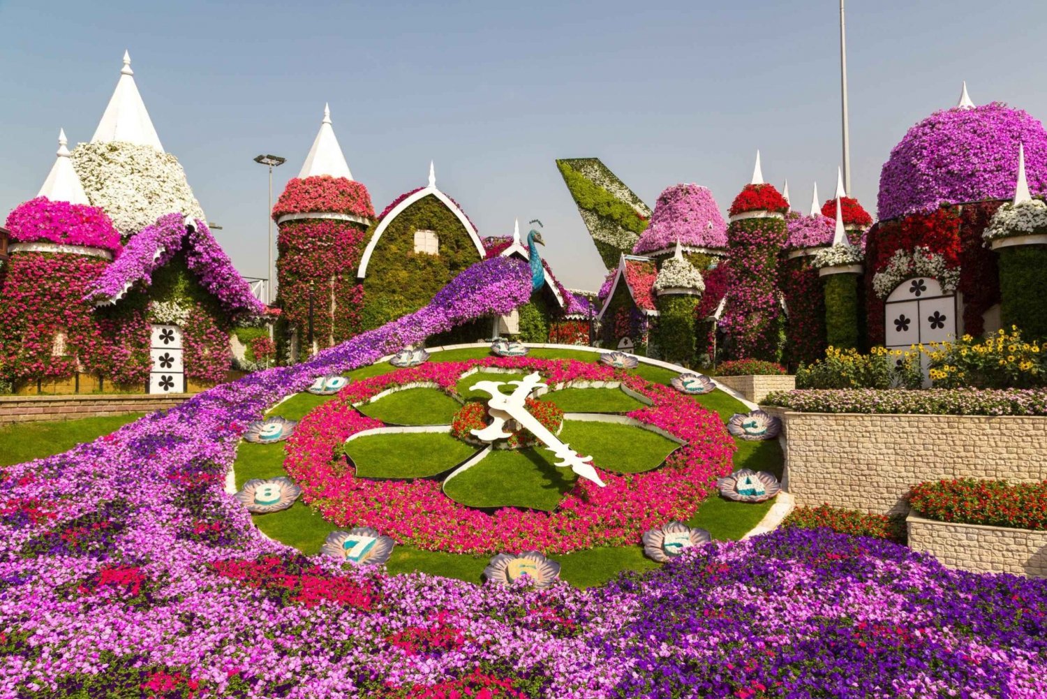 Excursion privée à Dubai Frame et Miracle Garden avec transfert
