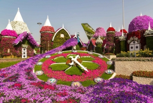 Private Dubai Frame & Miracle Garden Trip with Transfer