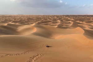 Dubai Private Morning Jeep Wrangler Desert & Sandboarding