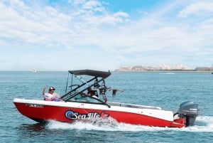Private Speed Boat Tour in Dubai