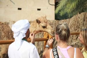 Private Walking Tour in Dubai / Old Dubai Tour