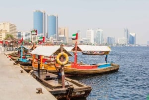 Santuario della fauna selvatica di Ras Al Khor con tour della città di Dubai