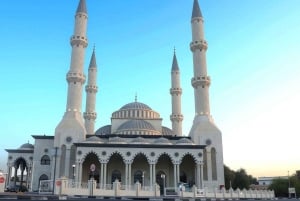 Santuario della fauna selvatica di Ras Al Khor con tour della città di Dubai