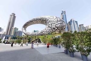 Santuario della fauna selvatica di Ras Al Khor con tour della città di Dubai