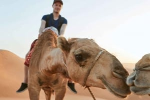 Safári no deserto de dunas vermelhas, quadriciclo, sandboard e passeio de camelo