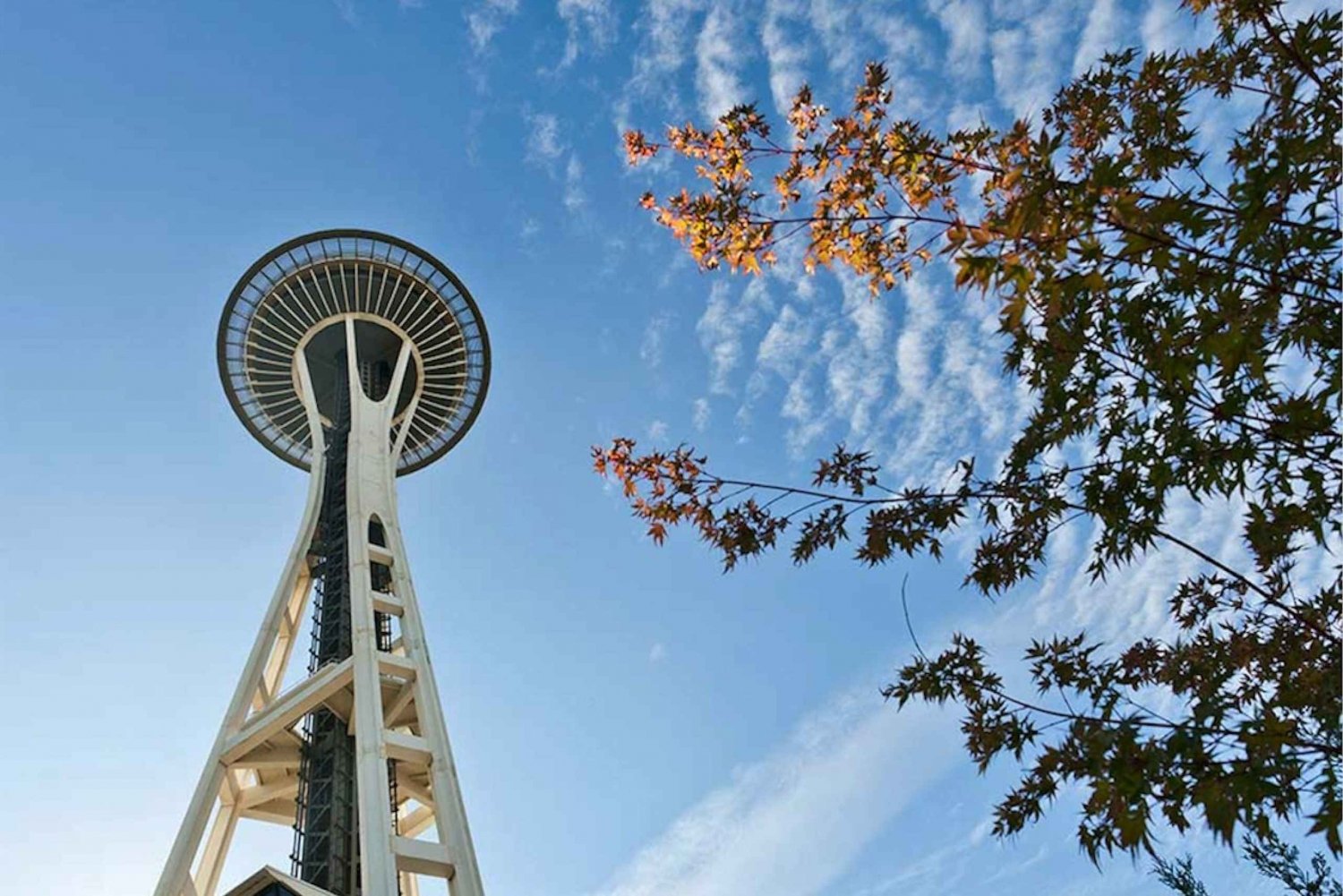 Seattle: Bilet do Space Needle
