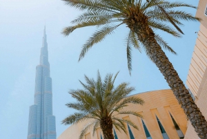 Tour de ville classique de Dubaï en commun