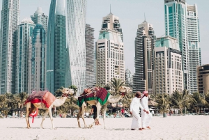 Delad klassisk stadsrundtur i Dubai