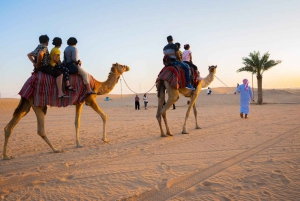 Sunrise Camel Trekking Tour