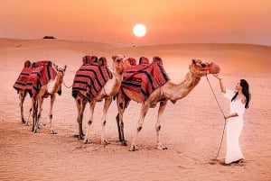 Zonsopgang woestijntocht duinwandelen zandboarden kamelentocht