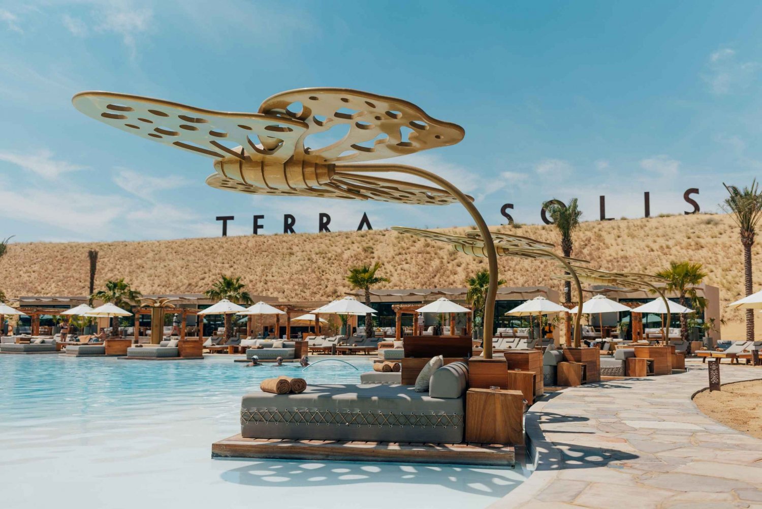 Terra Solis: Unwind and Re-Energize by the Pool