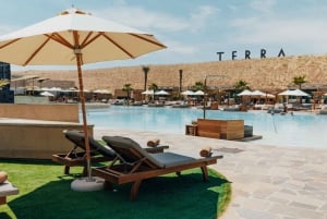 Terra Solis: Unwind and Re-Energize by the Pool