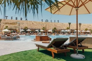 Terra Solis: Unwind and Re-Energize by the Pool