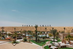 Terra Solis: Unwind and Re-Energize by the Pool