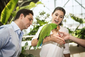The Green Planet - Dubai's Unique Indoor Rainforest