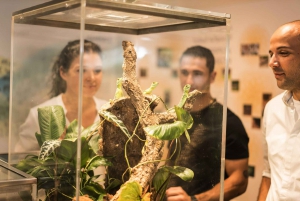 The Green Planet - Dubai's Unique Indoor Rainforest